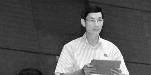 ĐB Đỗ Văn Vẻ (Thái Bình) phát biểu trong phiên thảo luận