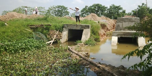 Cống làm nhưng không tiêu kịp nước cho cánh đồng