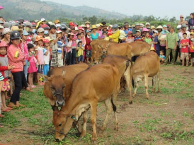 Em ước mơ gia đình em sẽ có một cái tết đàng hoàng