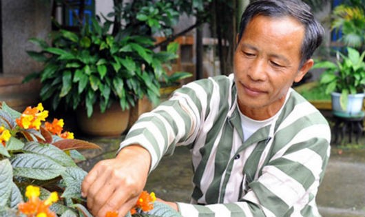 “Ma rừng” Ma Seo Chứ trong trại cải tạo