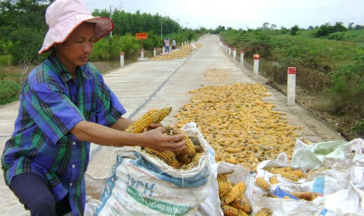 Bên những kết quả đạt được, Quốc hội cho rằng chương trình NTM còn một số hạn chế .
(Ảnh: Đường bê tông thực hiện trong chương trình NTM tại một xã ở Đắk Lắk)