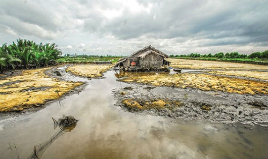 Nhiều bất cập trong việc hỗ trợ khắc phục hạn mặn ở Kiên Giang