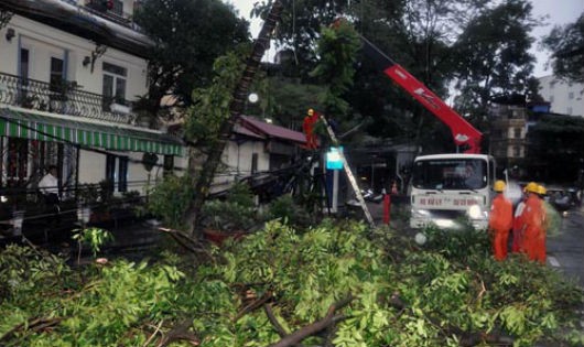 Điện lực Hà Nội đang xử lý hư hỏng lưới điện để cấp điện trở lại cho khách hàng