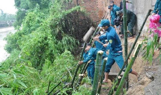 Các lực lượng tập trung gia cố đoạn đê bị lũ xâm thực. (Ảnh: Nguyễn Phúc)