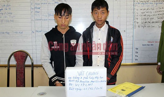 Vàng A Páo và Khà A Cải cùng tang vật 16 bánh heroin