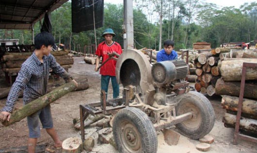 Các DN đang ngày càng khó khăn với nguồn gỗ nguyên liệu. (Ảnh minh họa)