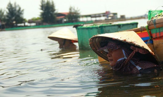 Nhọc nhằn phụ nữ dậm trìa trên phá Tam Giang