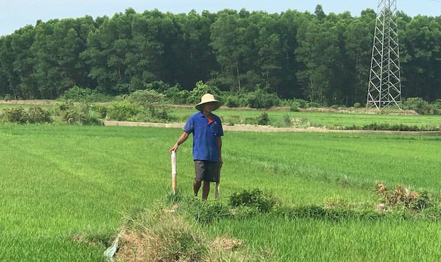 Vị trí đặt đá ở cánh đồng trong khi người dân không hay biết gì về dự án
