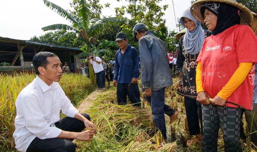 Tăng trưởng kinh tế của Indonesia vẫn dao động ở mức trên 5% và Tổng thống Joko Widodo (trái) đang rất lo lắng cho các mục tiêu kinh tế chủ yếu trong nhiệm kỳ của mình