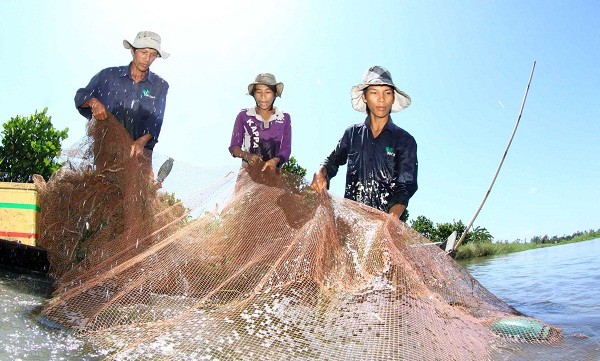 Sinh kế trên dòng Mekong ngày càng khó khăn hơn. Ảnh minh họa nguồn Internet