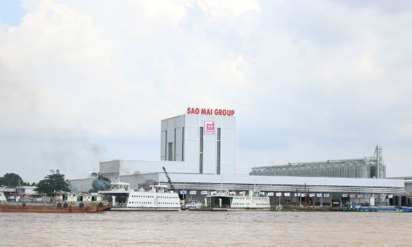 Sao Mai Super Feed từ ngã ba sông Hậu
