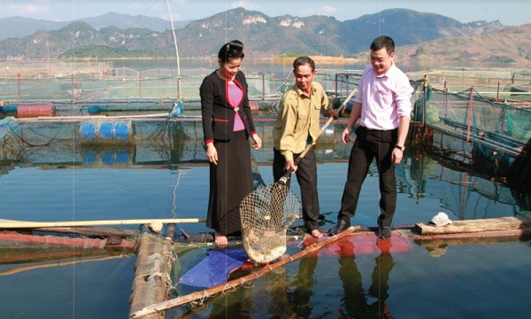 Nguồn vốn ưu đãi đã tạo cơ hội cho người nghèo và các đối tượng chính sách thoát nghèo bền vững góp phần thực hiện thành công các Chương trình mục tiêu quốc gia