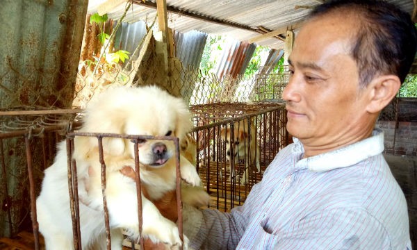 Ông Nguyên thu nhập “khủng” và trở thành triệu phú nhờ nuôi chồn và chó kiểng