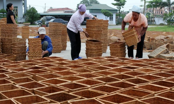 Ảnh minh họa: Trần Việt