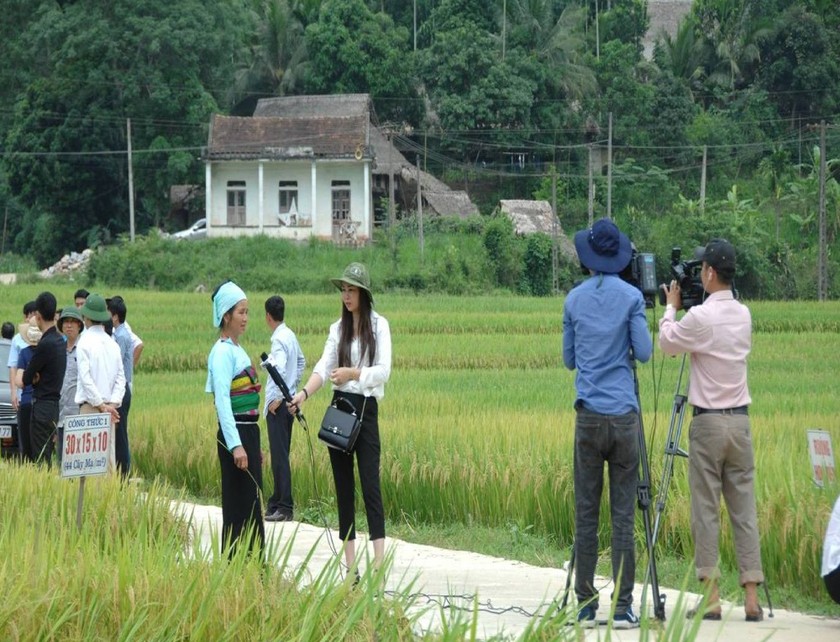 Công việc báo chí đòi hỏi sự bản lĩnh, kiên trì và bền bỉ