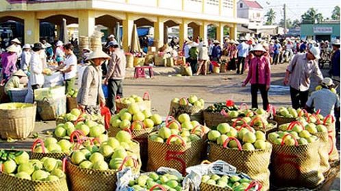 Nông sản xuất khẩu sang Trung Quốc gặp khó do chính người dân và doanh nghiệp thờ ơ trước các quy định nhập khẩu mới.  (Ảnh minh họa)