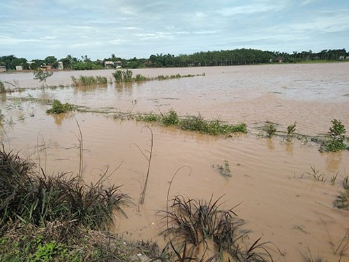 Ảnh minh họa. Nguồn Báo Bình Thuận