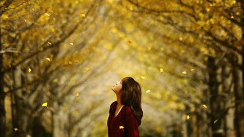 Có mối tình đi qua mùa thu