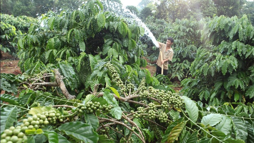 Đến nay, có hơn 6,5 triệu hộ nghèo, hộ cận nghèo và các đối tượng chính sách khác còn dư nợ tín dụng chính sách xã hội