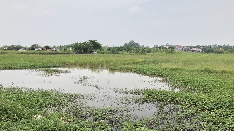 88 ha “đất vàng” hóa ra chỉ đất nông nghiệp, đất nghĩa trang, đất ở nông thôn, chưa hề có hạ tầng giao thông đô thị