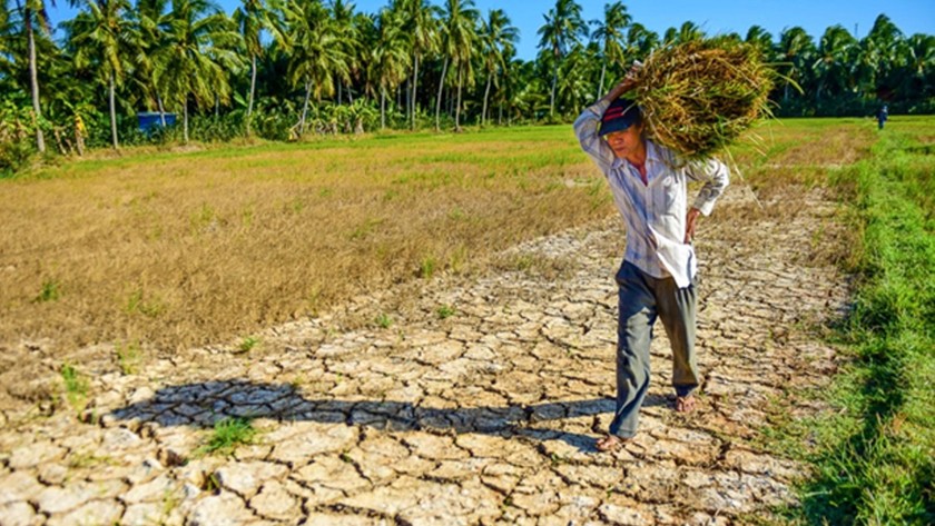 Hạn hán dẫn tới kinh tế nông nghiệp và nuôi trồng thủy sản bị ảnh hưởng bởi sự XNM ngày càng gia tăng.