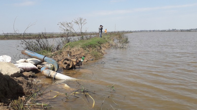 “Rừng cây” thuộc dự án hơn 110 tỷ tại xã Điền Hòa đã bị chết gần hết.