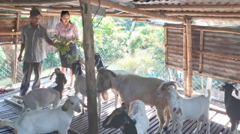 Mô hình nuôi dê của ông Nguyễn Hạnh.  