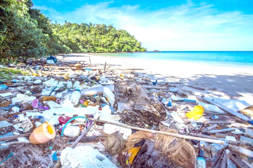 Đảo Koh Phi Phi (Thái Lan) bị đóng cửa bởi ô nhiễm nặng. 