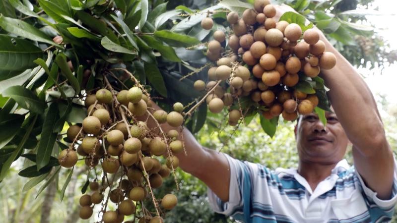 Trong hơn 5 năm qua, nguồn vốn của NHCSXH đã góp phần giúp hơn 2,1 triệu hộ vượt qua ngưỡng nghèo; thu hút, tạo việc làm cho hơn 1,3 triệu lao động...