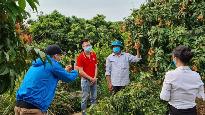 Hướng dẫn bà con bán hàng trên môi trường số.