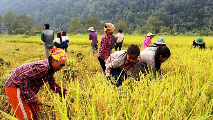 Tỷ lệ hộ nghèo theo chuẩn nghèo tiếp cận đa chiều giảm nhanh trong 3 năm qua.