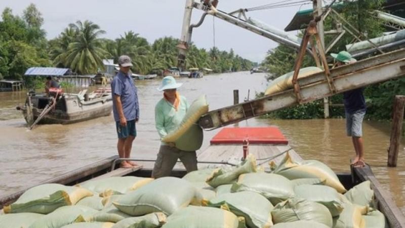 Các ngân hàng sẽ mở rộng, tăng hạn mức tín dụng cho các doanh nghiệp để đảm bảo đủ nguồn vốn thu mua, tạm trữ thóc, gạo.