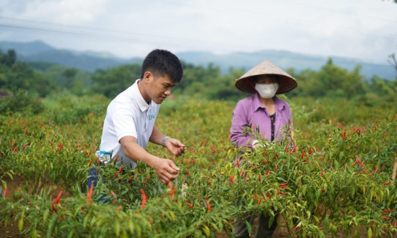 Thương mại điện tử đã đưa những sản phẩm từ các vùng sâu, vùng xa đi khắp thế giới. (Ảnh minh họa)