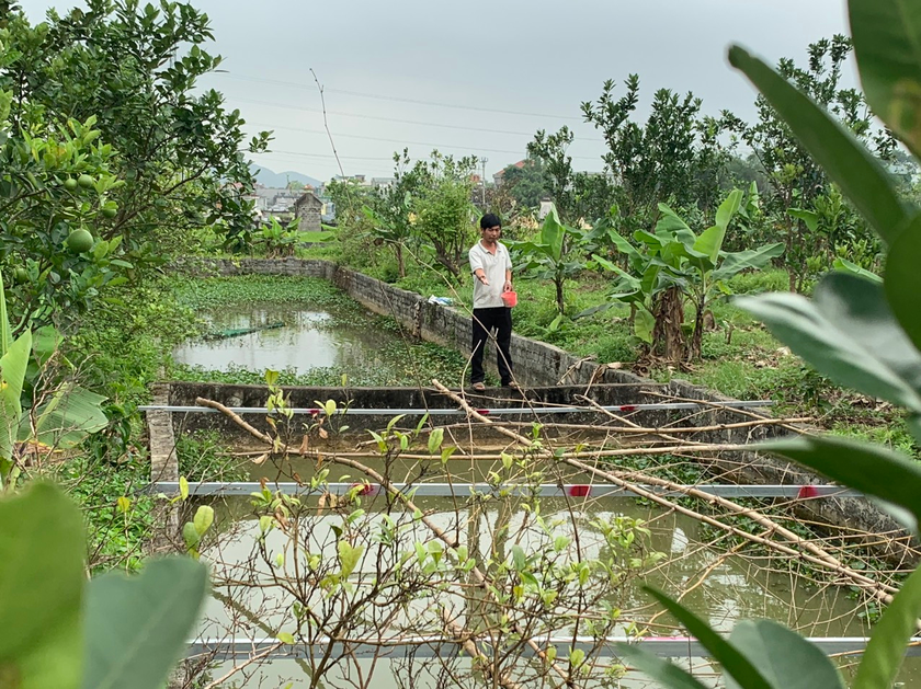 Mô hình trang trại đa canh của anh Vũ Ngọc Tú ở thôn Nham Tràng, xã Thanh Tân, huyện Thanh Liêm.