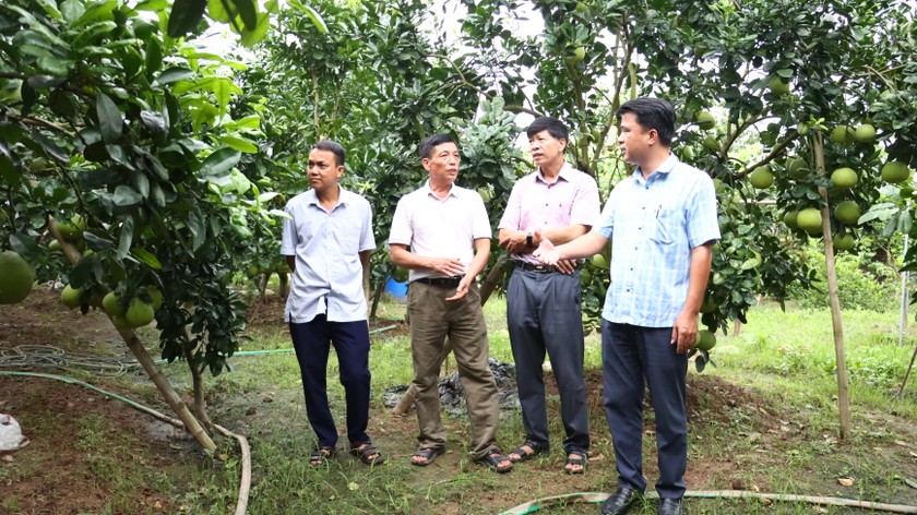 Lãnh đạo Trung tâm Khuyến nông Hà Nội kiểm tra mô hình Khuyến nông trồng trọt sau cơn bão số 3 tại huyện Phúc Thọ.