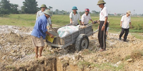 Nghệ An huỷ 10 tấn lợn thịt, công bố dịch heo tai xanh