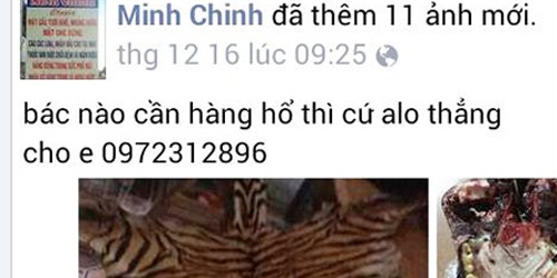 Lại xuất hiện thanh niên rao bán hổ, gấu trên facebook