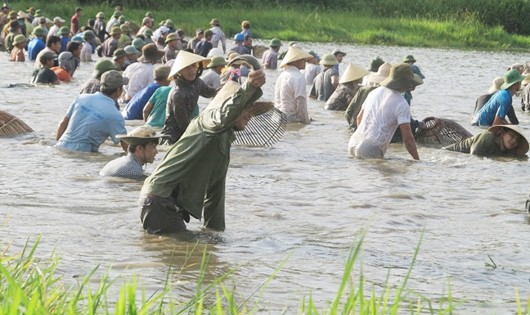 Hàng trăm người dân đổ xô xuống đầm