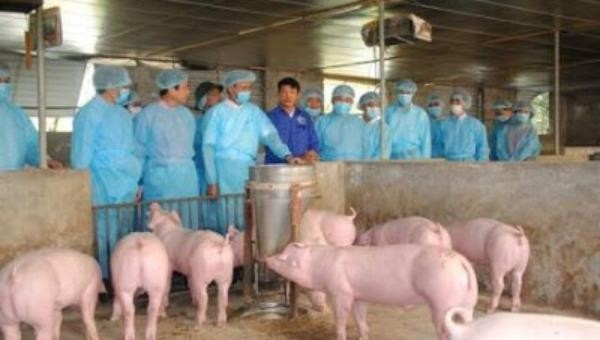 Cán bộ chi cục thú y công tác chỉ đạo phòng ngừa dịch bệnh tại địa phương