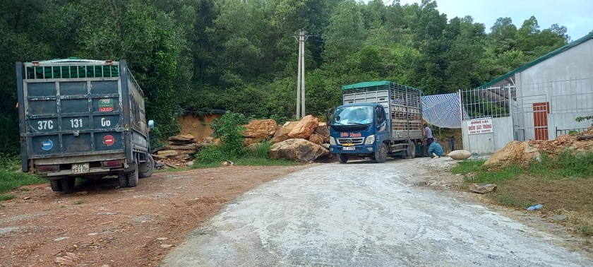 Trang trại lợn chưa được cấp phép,chưa có đánh giá tác động môi trường nhưng vẫn hoạt động nhiều năm không hề bị xử lý ?