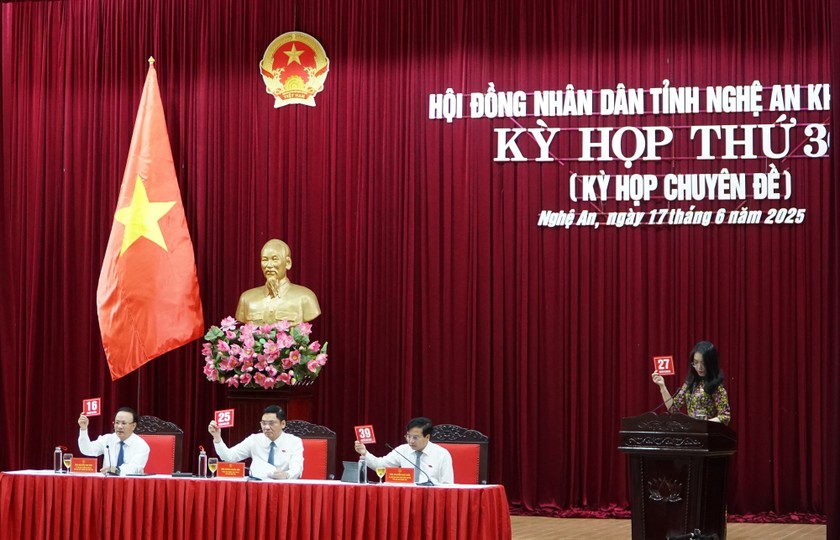 Các đại biểu biểu quyết thông qua các dự thảo Nghị quyết. Ảnh: Tuyết Lan