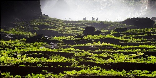 lVùng sâm Ngọc Linh ẩn hiện giữa lưng chừng mây.