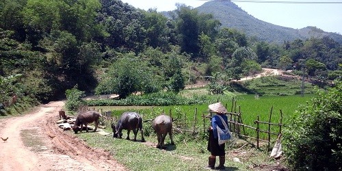 Đường vào nhà ông “vua” Hiển.