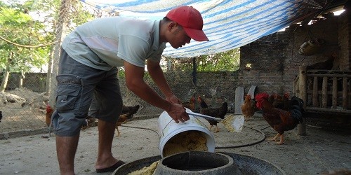 Anh  Thọ  với niềm vui  sống giữa đời thường.