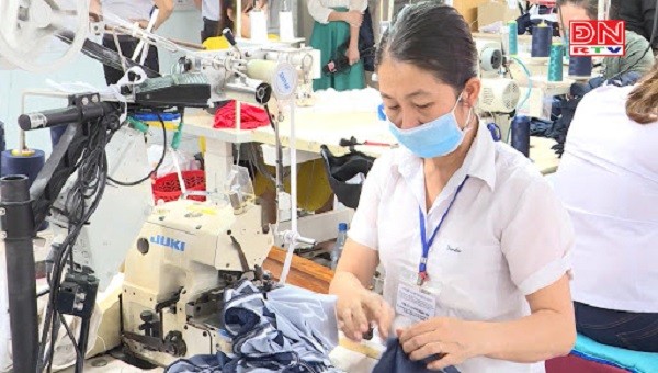 Từ 1/7/2020, khoanh nợ tiền thuế và xóa nợ tiền phạt chậm nộp, tiền chậm nộp