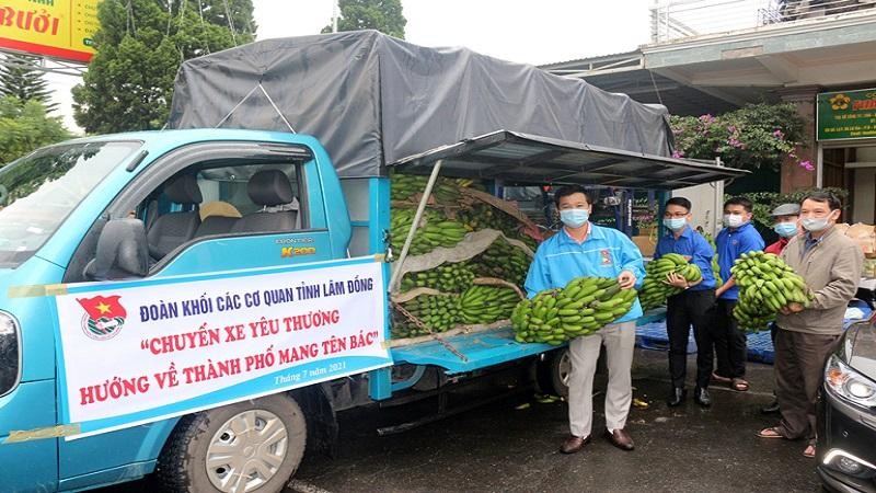 Những chiếc xe này sẽ phải dán nhãn "hàng mau hỏng" màu vàng để được lưu thông nhanh trong vùng dịch.