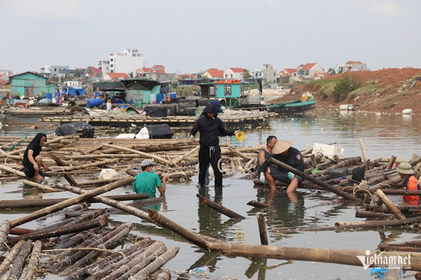 Tan hoang sau bão (ảnh: Phạm Công)