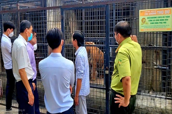 Đoàn liên ngành kiểm tra thực tế khu nuôi nhốt hổ tại khu du lịch Vườn Xoài (Đồng Nai). Ảnh: MV