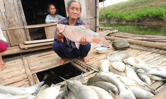 Phạt gần 500 triệu đồng, đình chỉ doanh nghiệp 'đầu độc' sông Bưởi