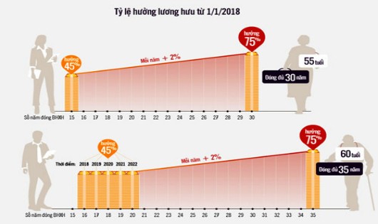 Người về hưu được hưởng lương ra sao (Xem chi tiết). Đồ họa: Tiến Thành.